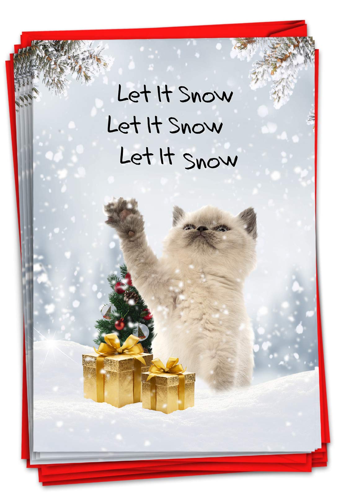 Funny Christmas Greeting Cards with Animal Humor - 12 Pack Holiday Bulk Set (1 Design) - Cat Snow Celebration Cards for Family, Friends & Coworkers - Perfect for Office Parties, Gift Exchanges & Festive Mailings