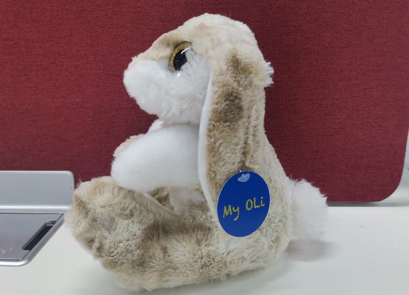 8.5 Inch My OLi Plush Bunny Stuffed Animal - Tie Dye Soft Cuddly Toy for Kids, Girls & Boys | Perfect for Bedtime, Travel & Gifts