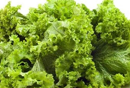 Heirloom Mustard Greens Seeds - Non-GMO, 200 Seeds for Planting - Perfect for Home Gardens, Salads & Stir-Fries