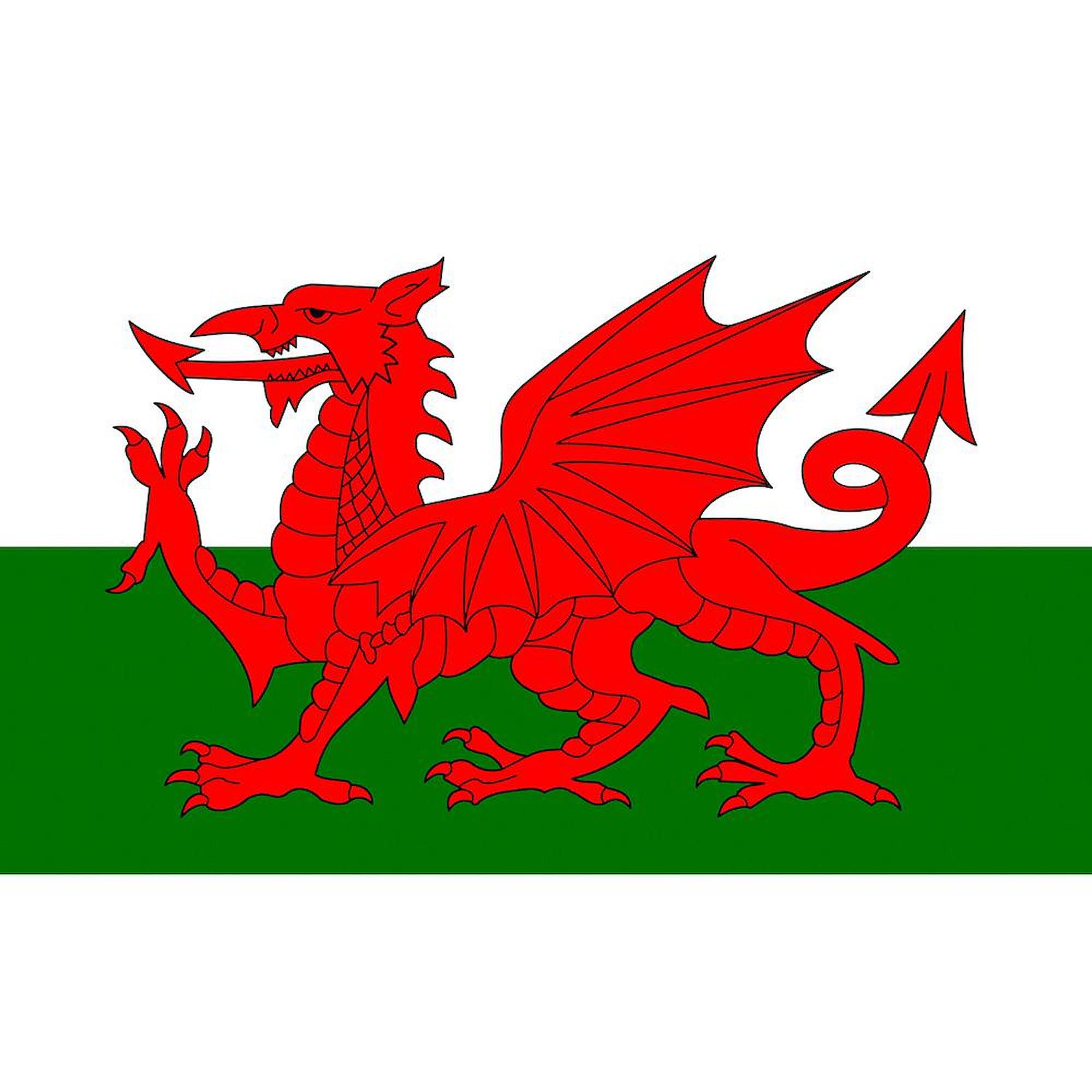 Welsh Flag Mug - 11 oz (325 ml) Ceramic Coffee Cup with Wales Flag Design - Perfect for Tea, Coffee & Hot Drinks at Home, Office or Gifts