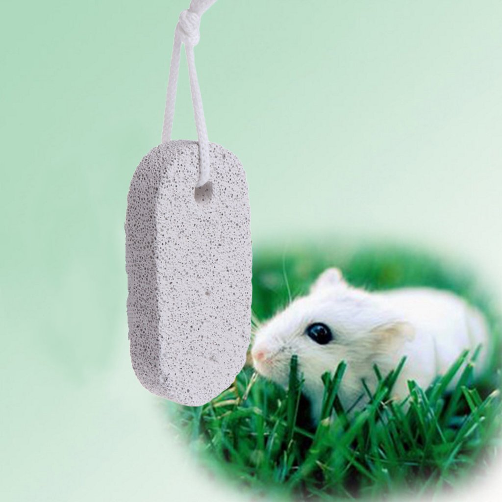 Natural Lava Stone Chew Toys for Hamsters, Chinchillas, Birds & Small Pets - Teeth Grinding & Enrichment for Guinea Pigs, Parrots & Rodents - Perfect for Cage Accessories & Dental Care