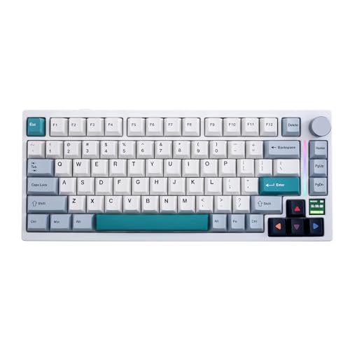 GamaKay Pegasus Switch