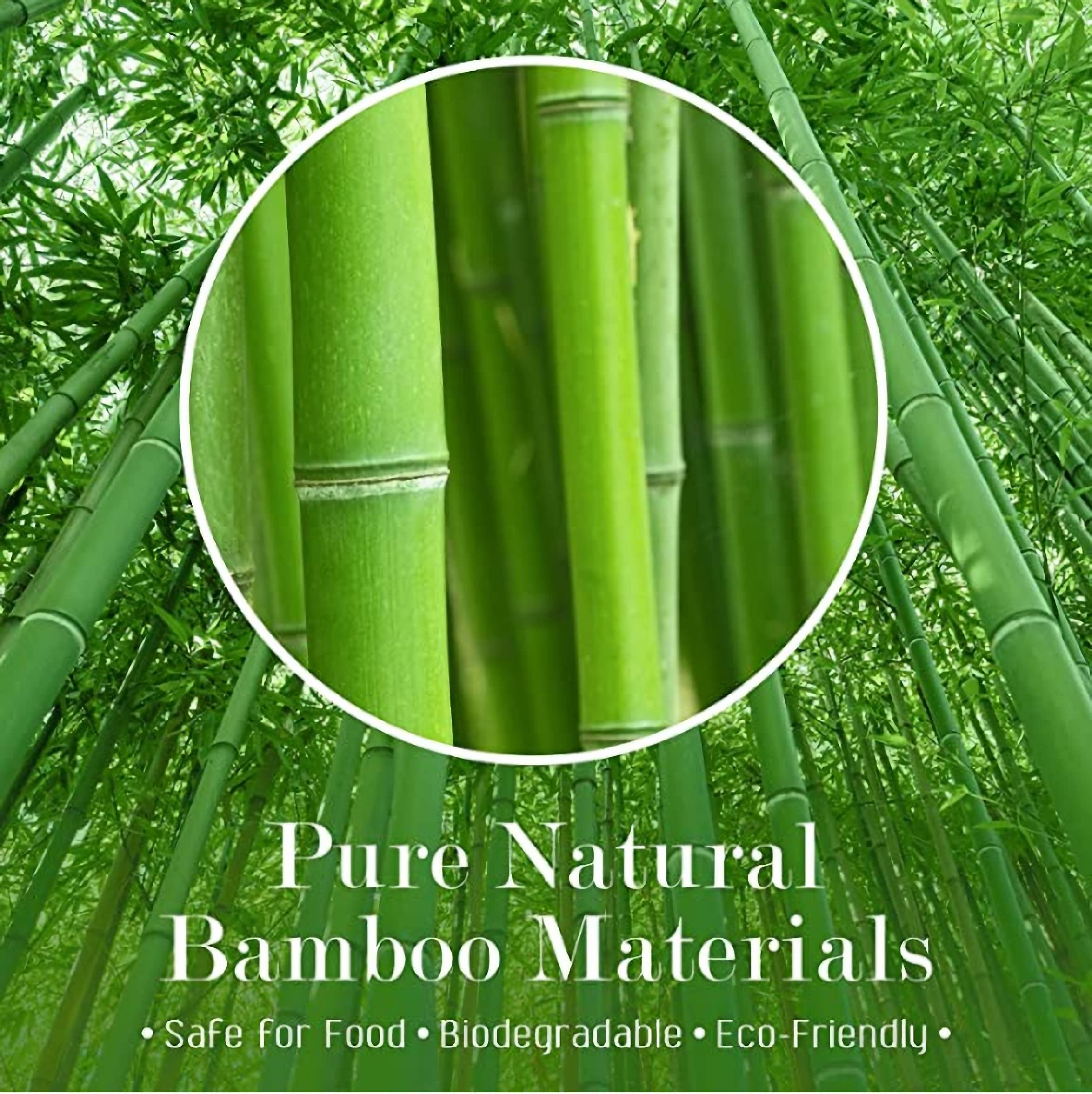 Bamboo Skewers 260 Pack - Cocktail Picks for Drinks, BBQ & Fruit Kabobs