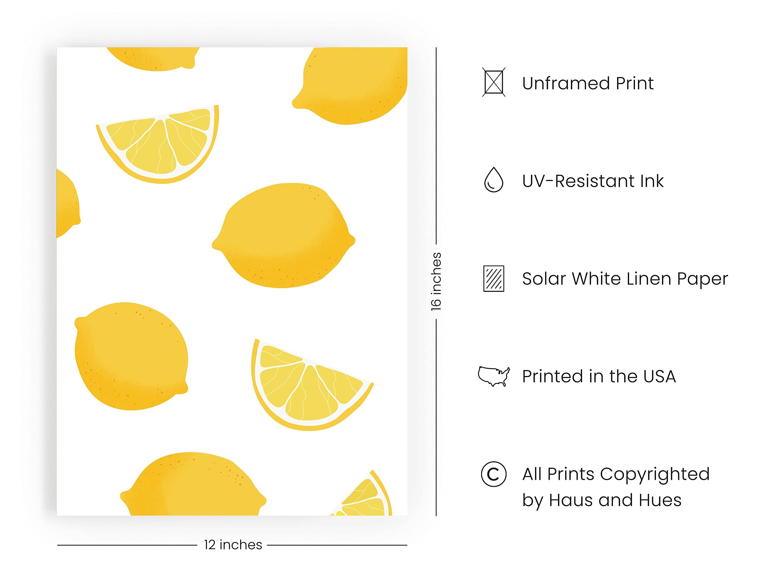 HAUS AND HUES Lemon Fruit Art Print - 12