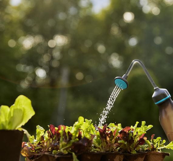 Gardena Soft Sprayer 0.45L (11102-20) - Gentle Watering for Indoor Plants, Garden Flowers & Delicate Seedlings - Perfect for Home Gardening & Greenhouses