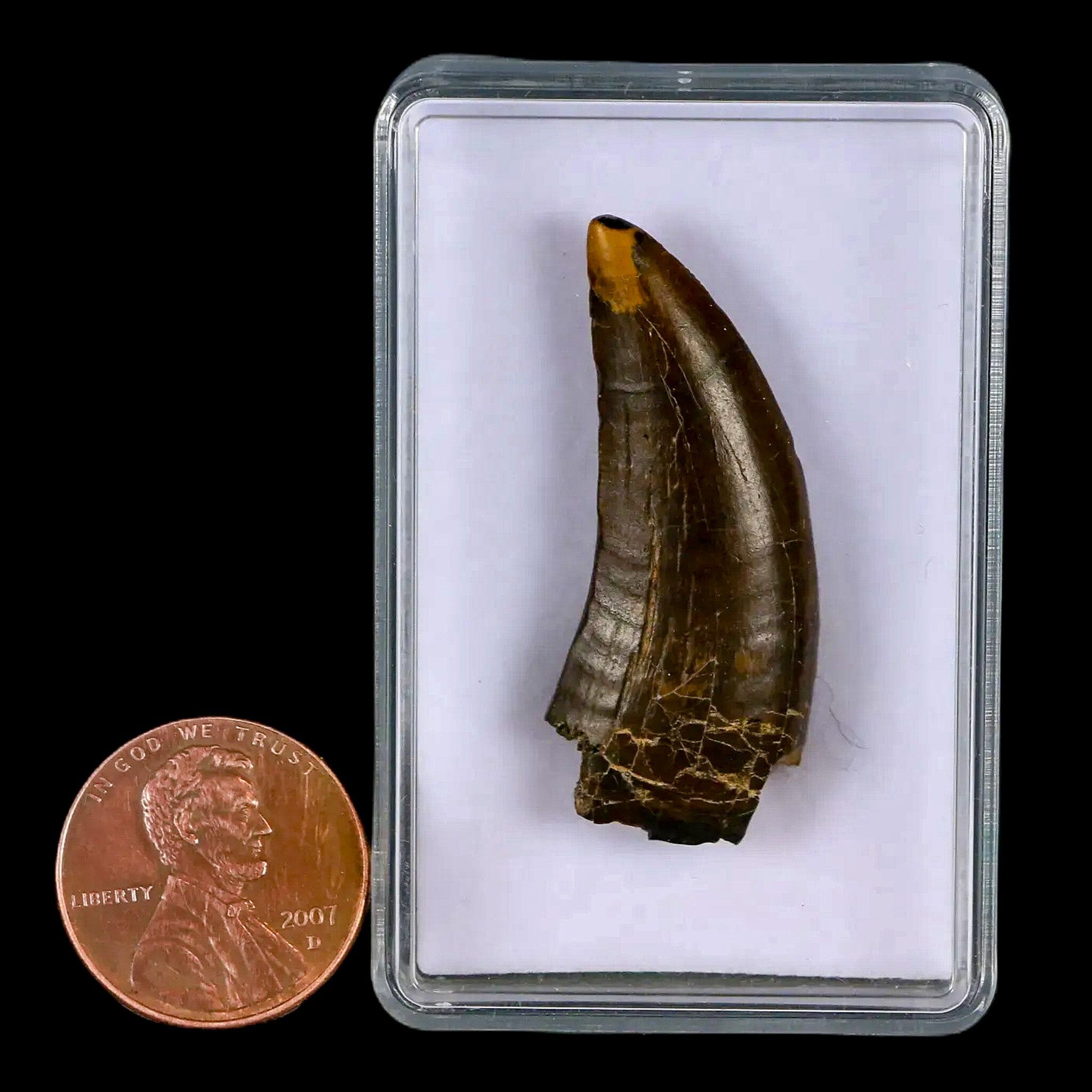 1.5