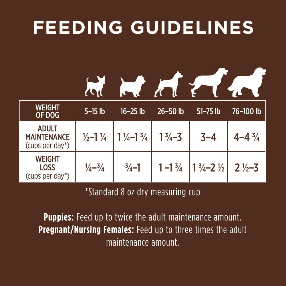 Premium Lamb & Oatmeal Dry Dog Food for All Breeds - Natural Grain-Free Recipe, 24lb Bag - Supports Healthy Skin & Coat - Ideal for Adult Dogs & Sensitive Stomachs