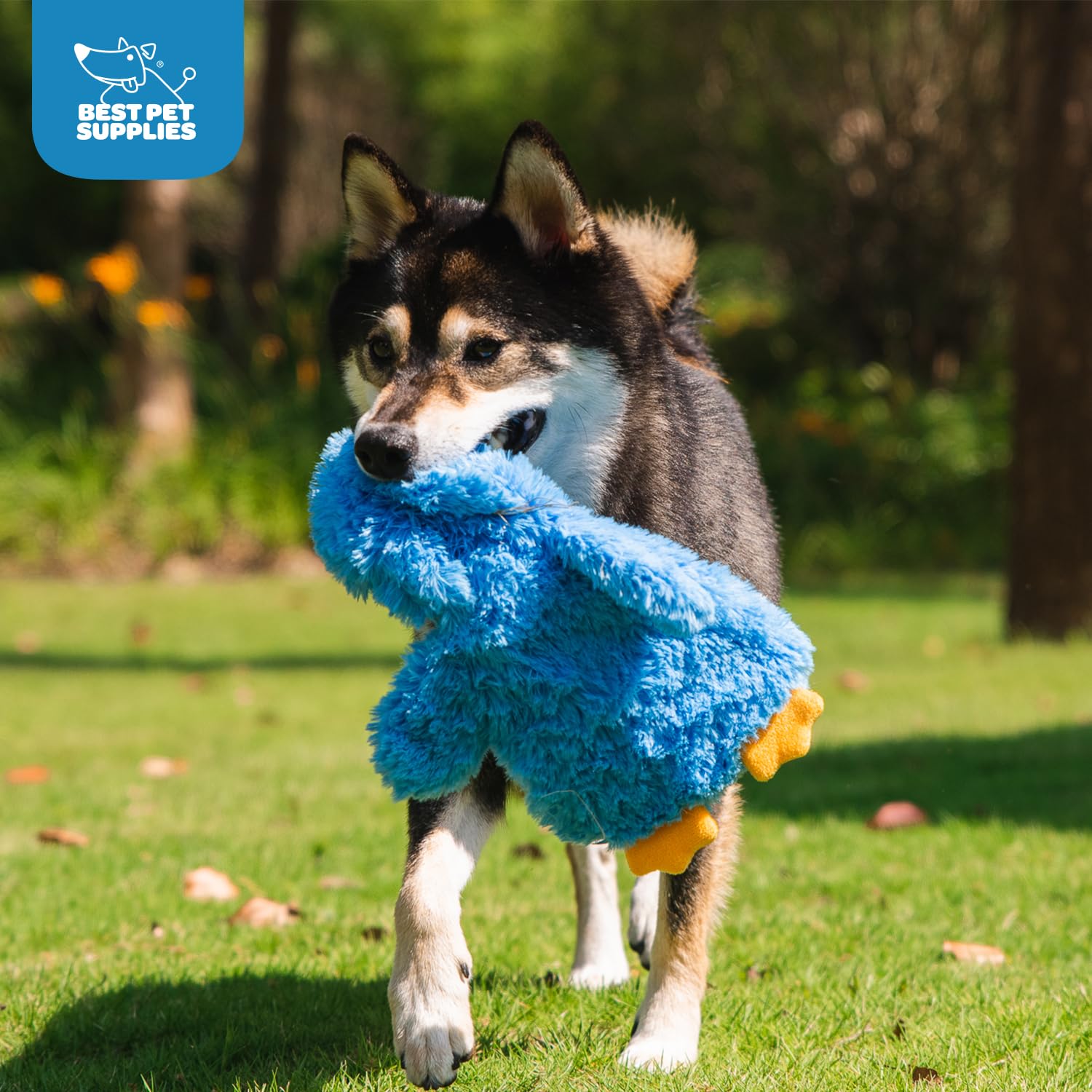 Best Crinkle Chicken Plush Dog Toy for Interactive Play - Fun & Durable Puppy & Senior Dog Chew Toy, Cute Blue Chicken Shape for Indoor Play - Perfect for Fetch, Training & Cuddling