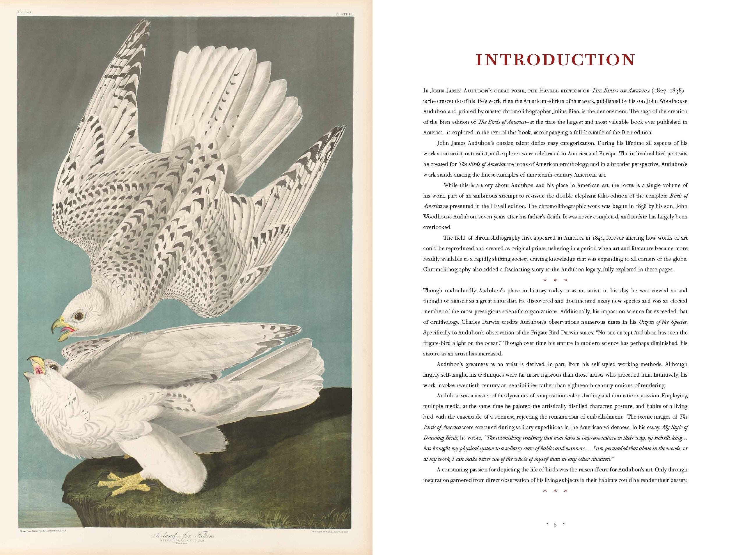 The Birds of America: Bien Chromolithographic Edition - Premium Bird Art Book for Nature Lovers & Home Decor