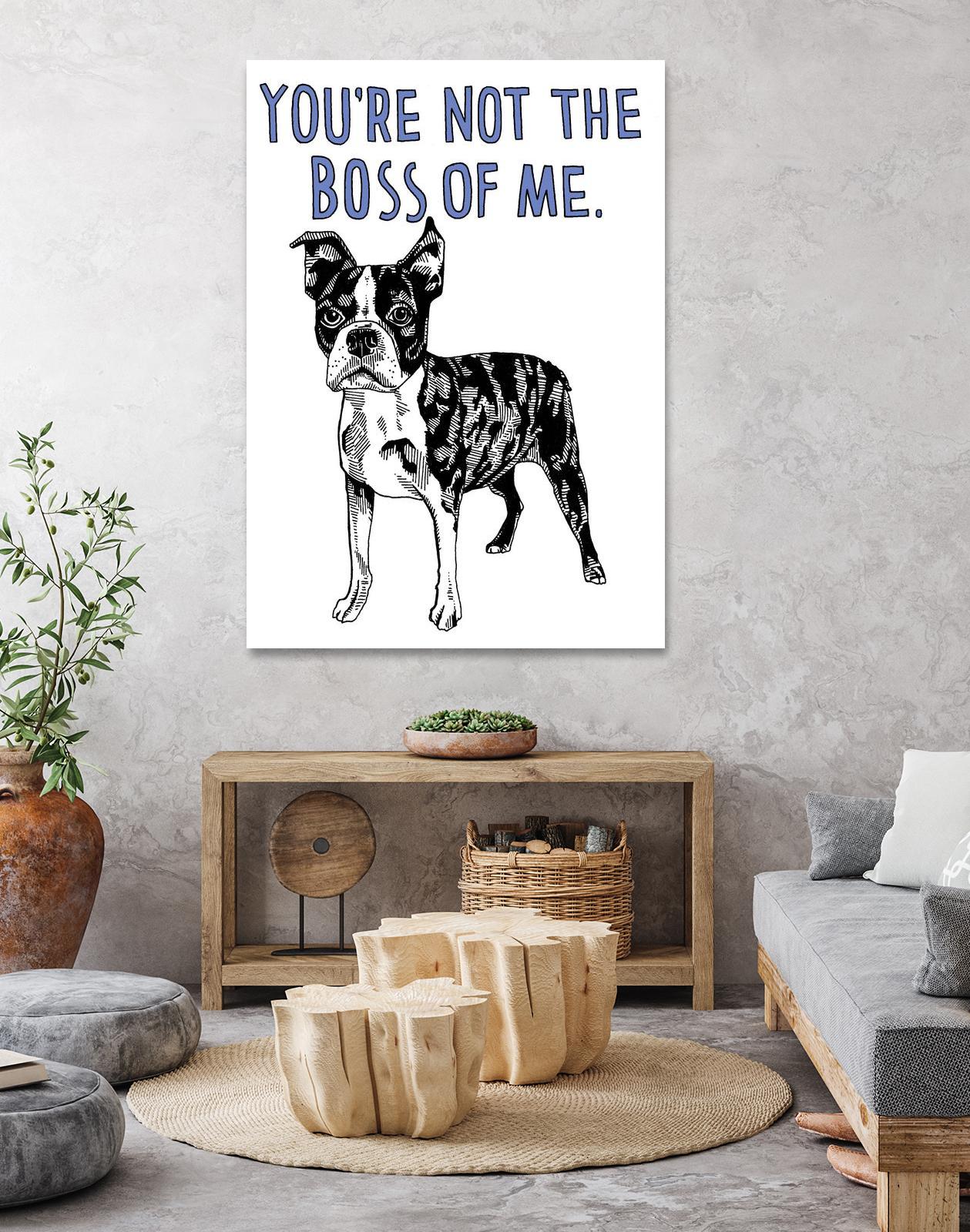 Boston Terrier Dog - Adorable Pet Companion for Families & Apartment Living | Best Small Breed for Home & Travel