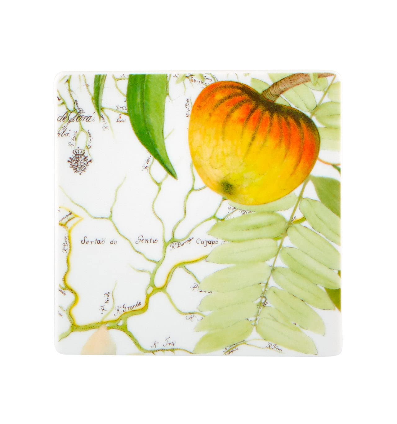 Vista Alegre Amazonia Set of 4 Absorbent Coasters - Tropical Leaf Design for Coffee Tables, Dining Tables & Home Decor