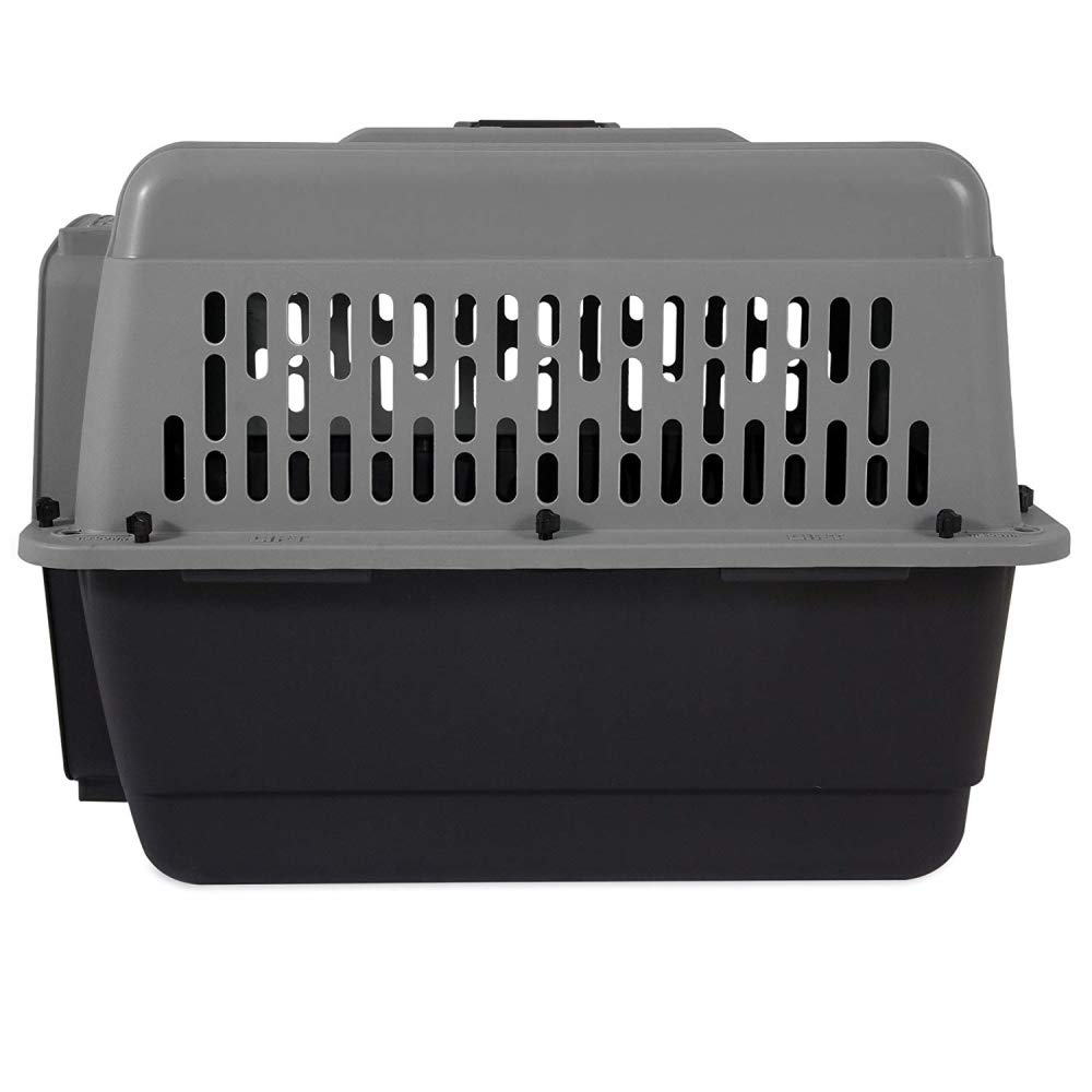Petmate ASPEN PET Medium Breeds Cat, Chicken & Dog Kennel - Durable Travel Carrier for Small Animals - Dark Gray/Black - Made in USA - Perfect for Vet Visits, Air Travel & Home Comfort