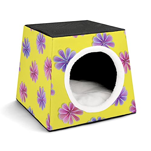 Color4