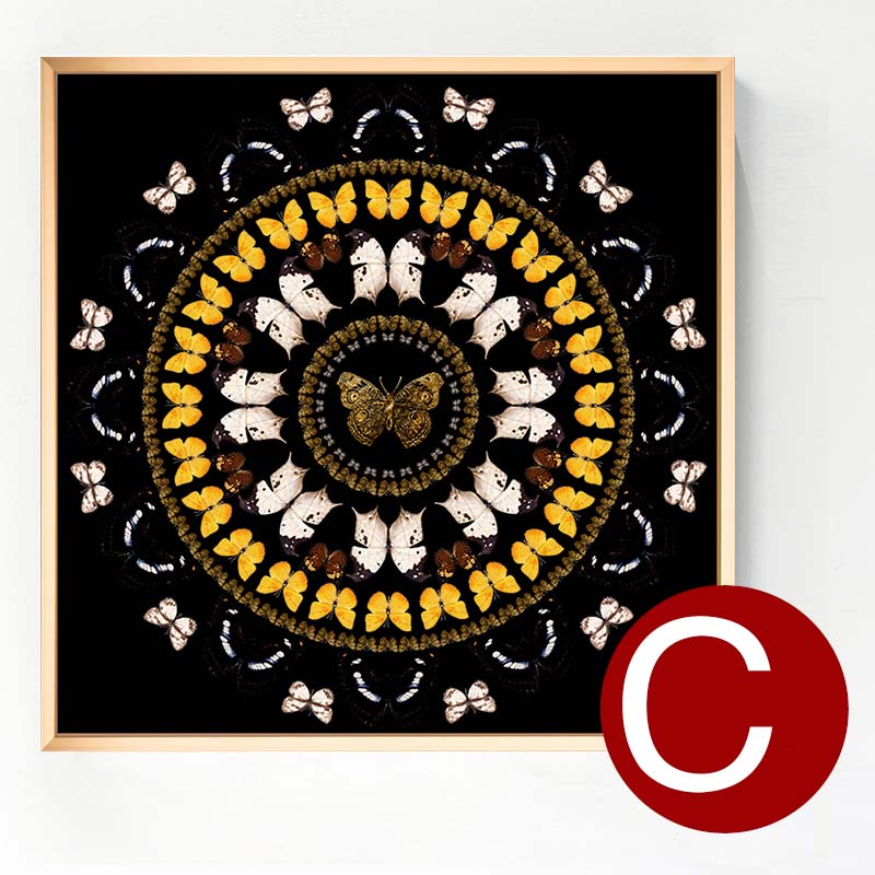 Butterfly Crystal Art Print with Gold Aluminum Floater Frame - Elegant Wall Decor for Living Room, Bedroom & Office - Perfect Gift for Home Decor & Housewarming