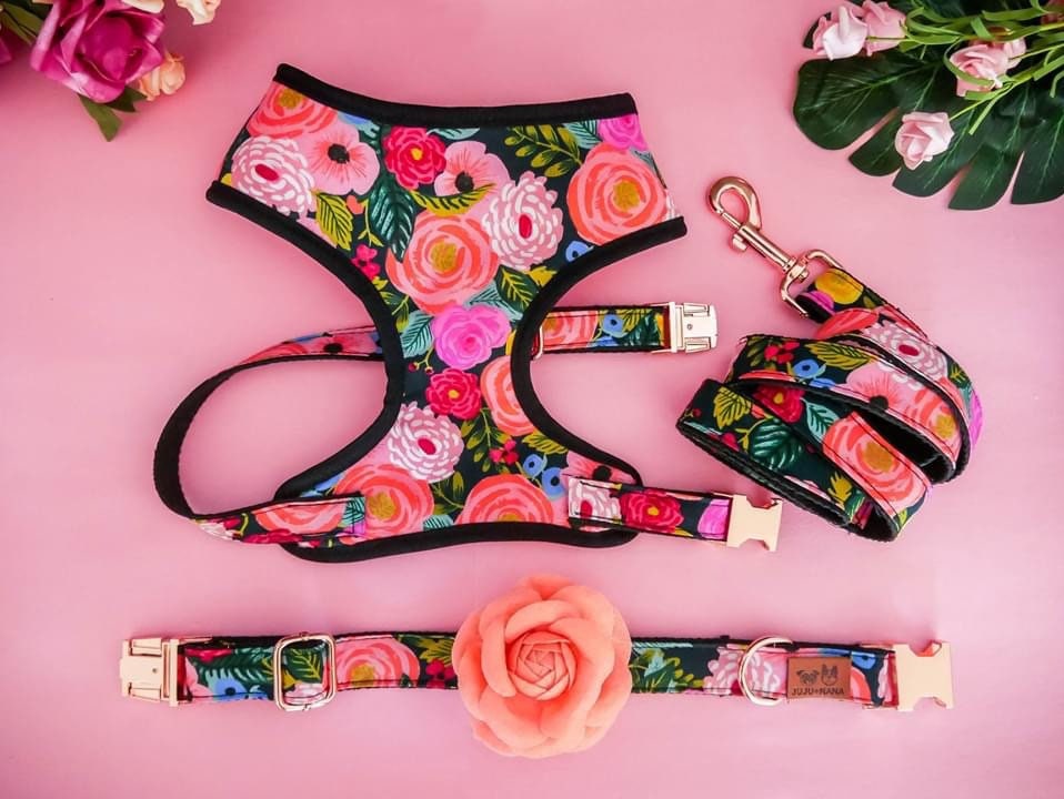 Rifle Paper Co Juliet Dog Harness Set - Black with Black Trim | Adjustable Pet Harness for Small to Medium Dogs | Perfect for Walks, Hiking & Outdoor Adventures