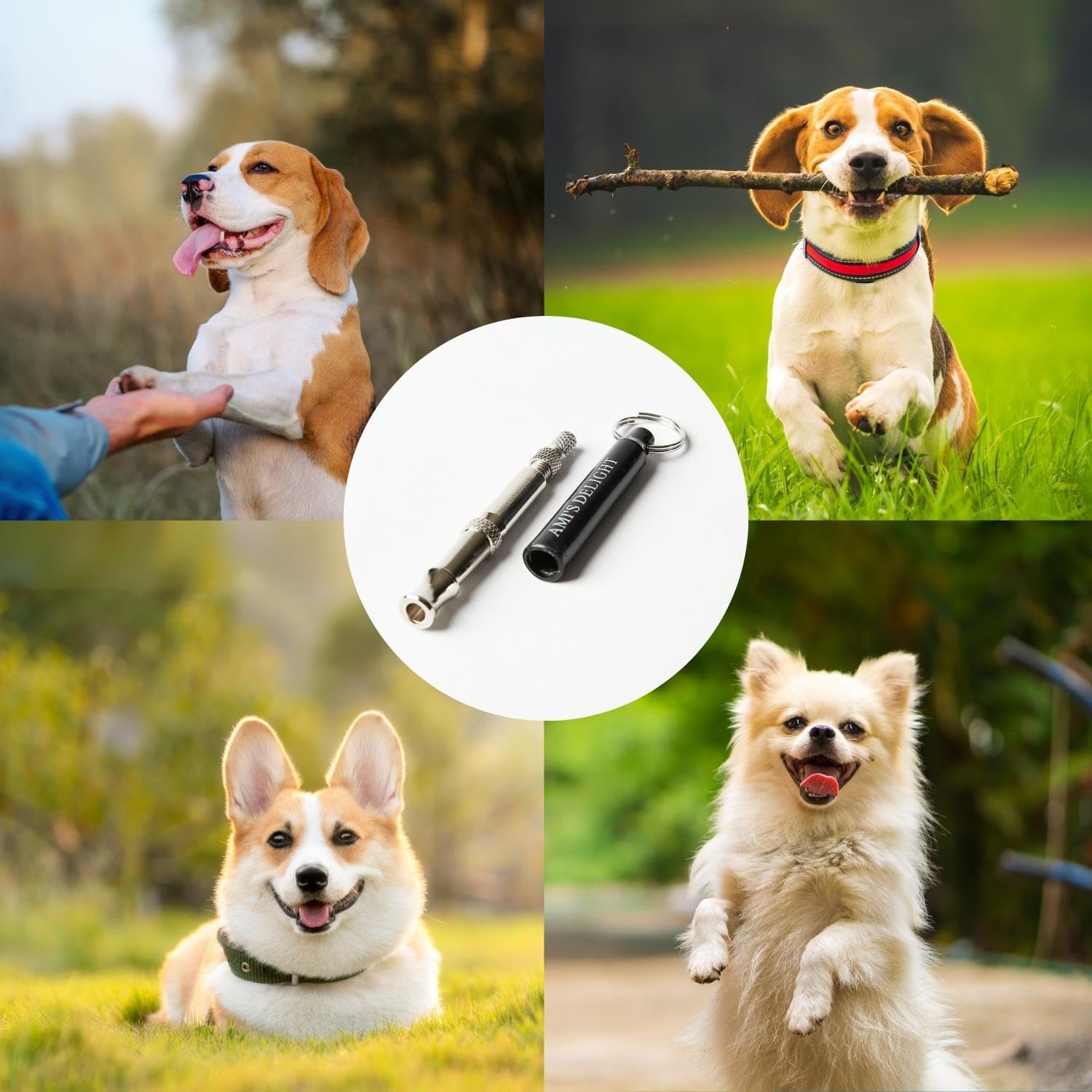 Premium Adjustable Dog Whistle Set - 5 PCS with Lanyards & Clicker for Bark Control - Train Neighbor's Dogs