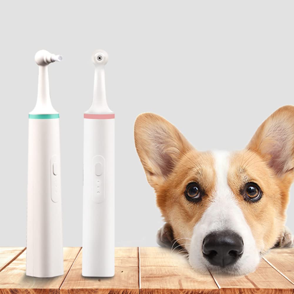 Electric Tooth Polisher & Stain Remover - Professional Teeth Whitening Kit with 4 Polishing Heads for Plaque, Tartar & Yellow Teeth - Safe for Humans & Pets - Perfect for Home Dental Care & Oral Hygiene (Green)