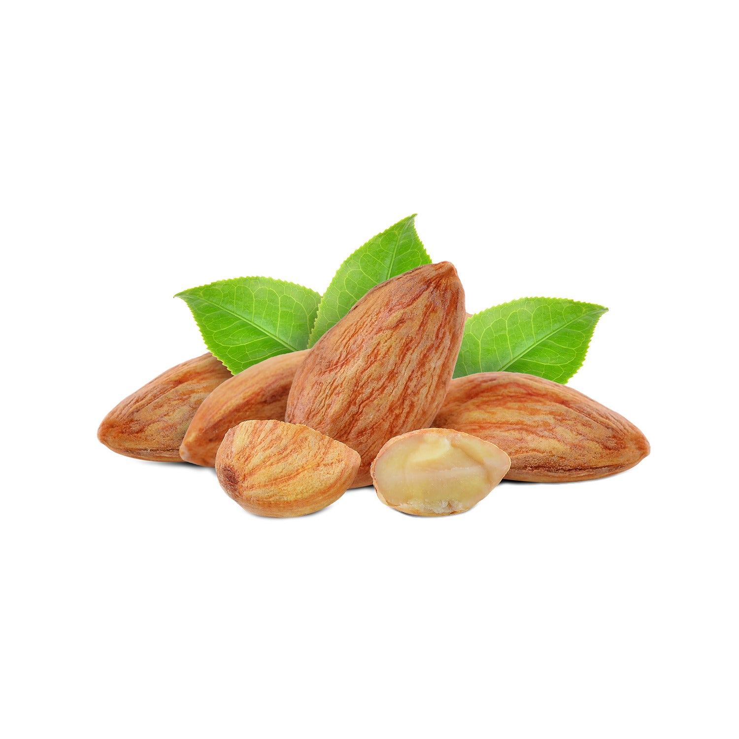Organic Raw Almonds 1lb - Non-GMO, Unsalted, Gluten-Free | Perfect for Snacking, Baking & Healthy Recipes