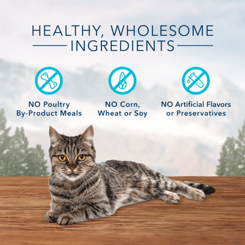 BLUE Wilderness Soft Moist Cat Treats with Chicken & Salmon - Grain-Free, High-Protein Snacks for Cats - Perfect for Training, Rewards & Bonding with Your Feline Friend