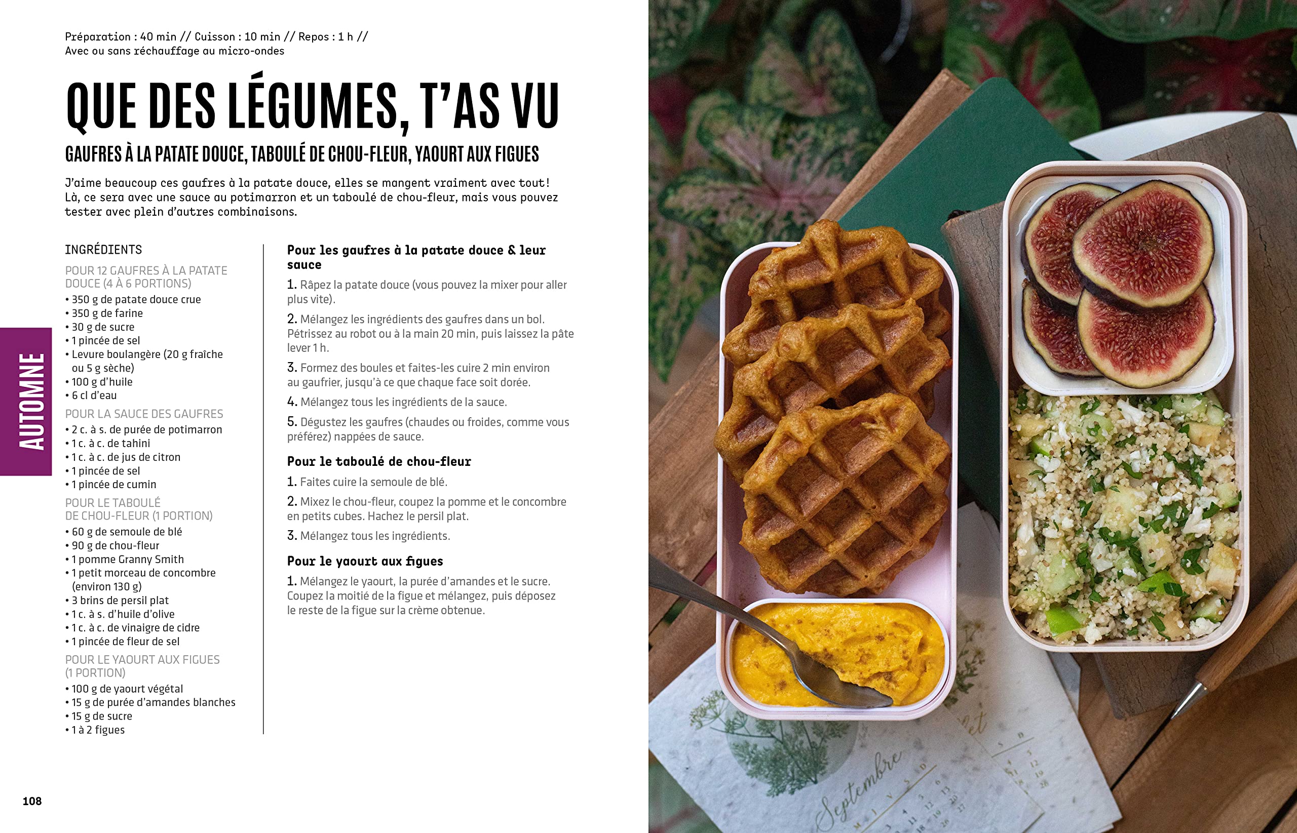 Eco-Friendly Vegan Lunch Box for Work - BPA-Free, Insulated Meal Container for Office, School & Travel