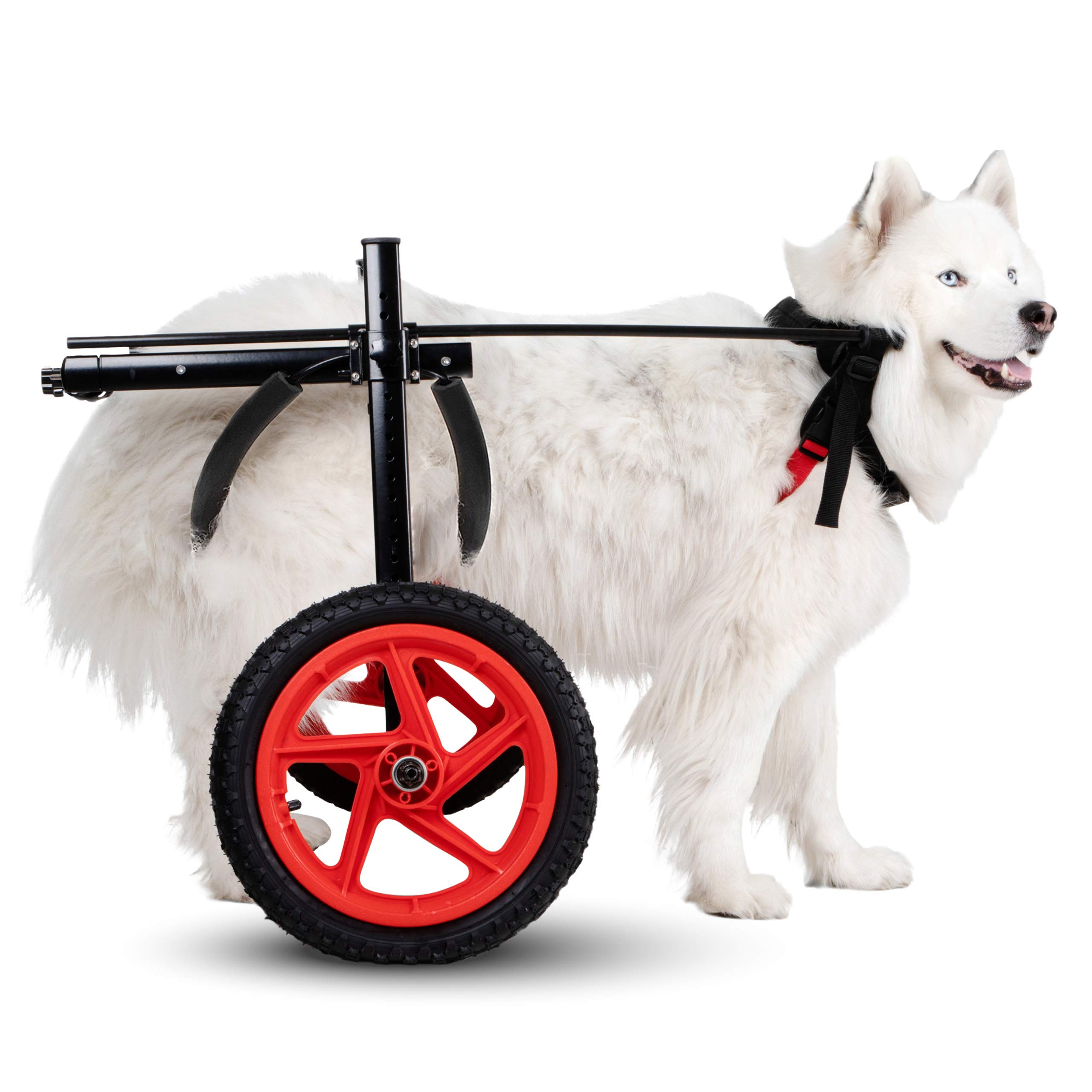 Best Friend Mobility PRO Adjustable Dog Wheelchair for Hind Legs - Medium to XL Sizes - Supports Healing & Improves Mobility for Disabled Dogs (Large) - Perfect for Post-Surgery Recovery & Daily Walks