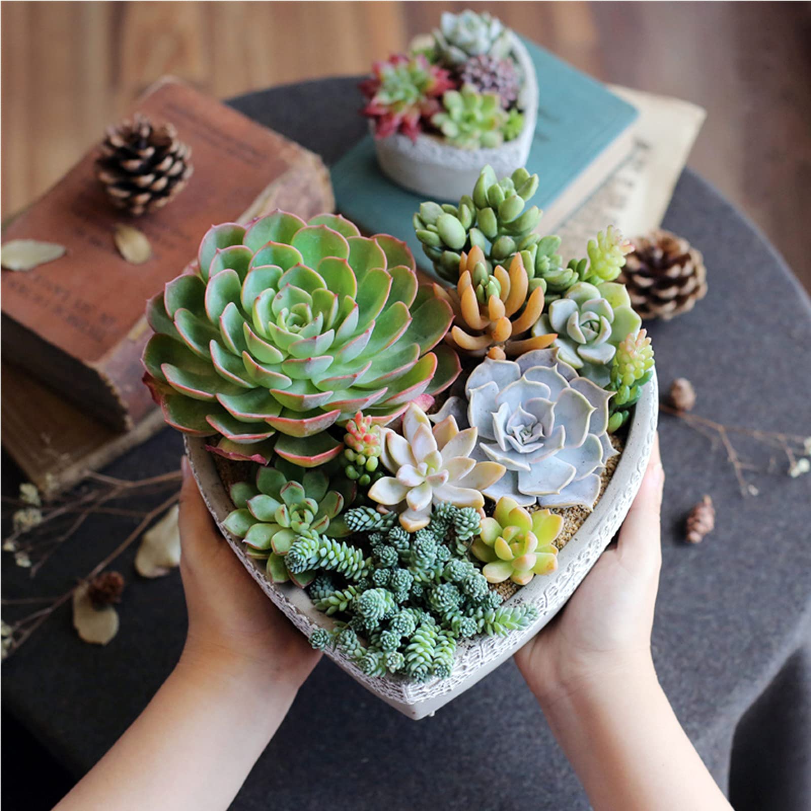 Premium Silicone Concrete Flower Pot Molds - Heart-Shaped DIY Planter Molds for Succulents, Cement & Clay Crafts | Perfect for Home Garden Decor, Wedding Favors & Handmade Gifts