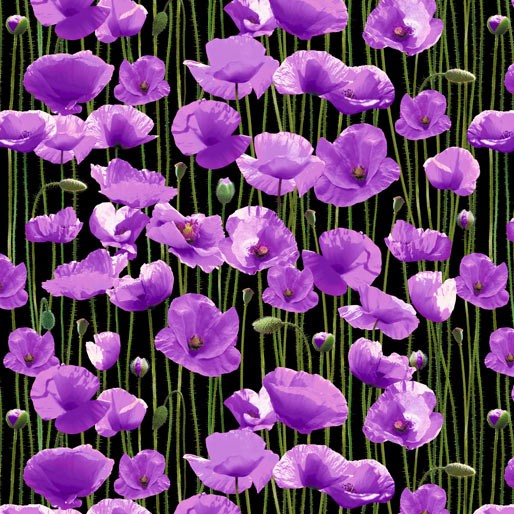 Animals of War by Kennard & Kennard - 7117AE Purple Poppy Field Black Canvas Art Print - Perfect for Home Decor, Office Wall Art & Memorial Day Gifts