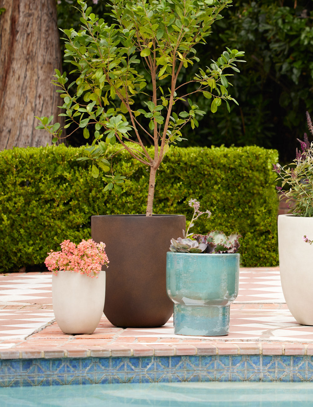 Campania International Bradford Planters - Elegant Garden Planters for Outdoor & Indoor Decor - Perfect for Patios, Balconies, and Home Gardens
