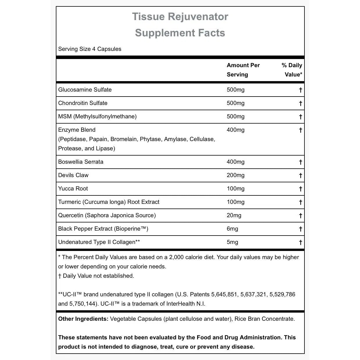 Hammer Nutrition Tissue Rejuvenator - Muscle Recovery Supplement for Athletes & Fitness Enthusiasts | Supports Joint Health & Reduces Soreness | Ideal for Post-Workout, Running, Weightlifting & Active Lifestyles
