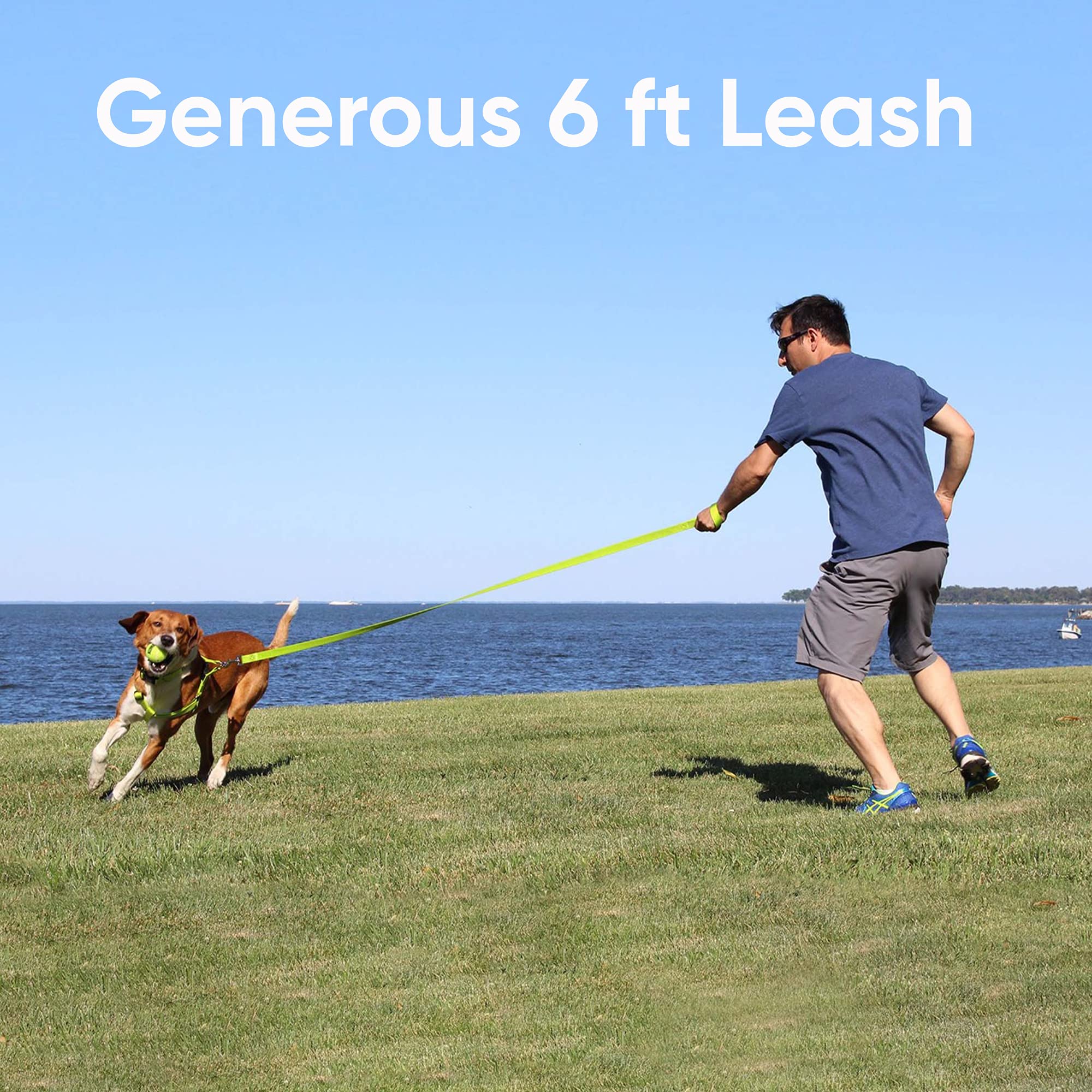 Pawtitas 6 FT Reflective Dog Leash with Comfortable Handle - Heavy Duty Pet Training Lead for Medium Dogs, Highly Visible Safety Threads (Also Available in 4 FT) - Perfect for Night Walks, Jogging & Outdoor Adventures