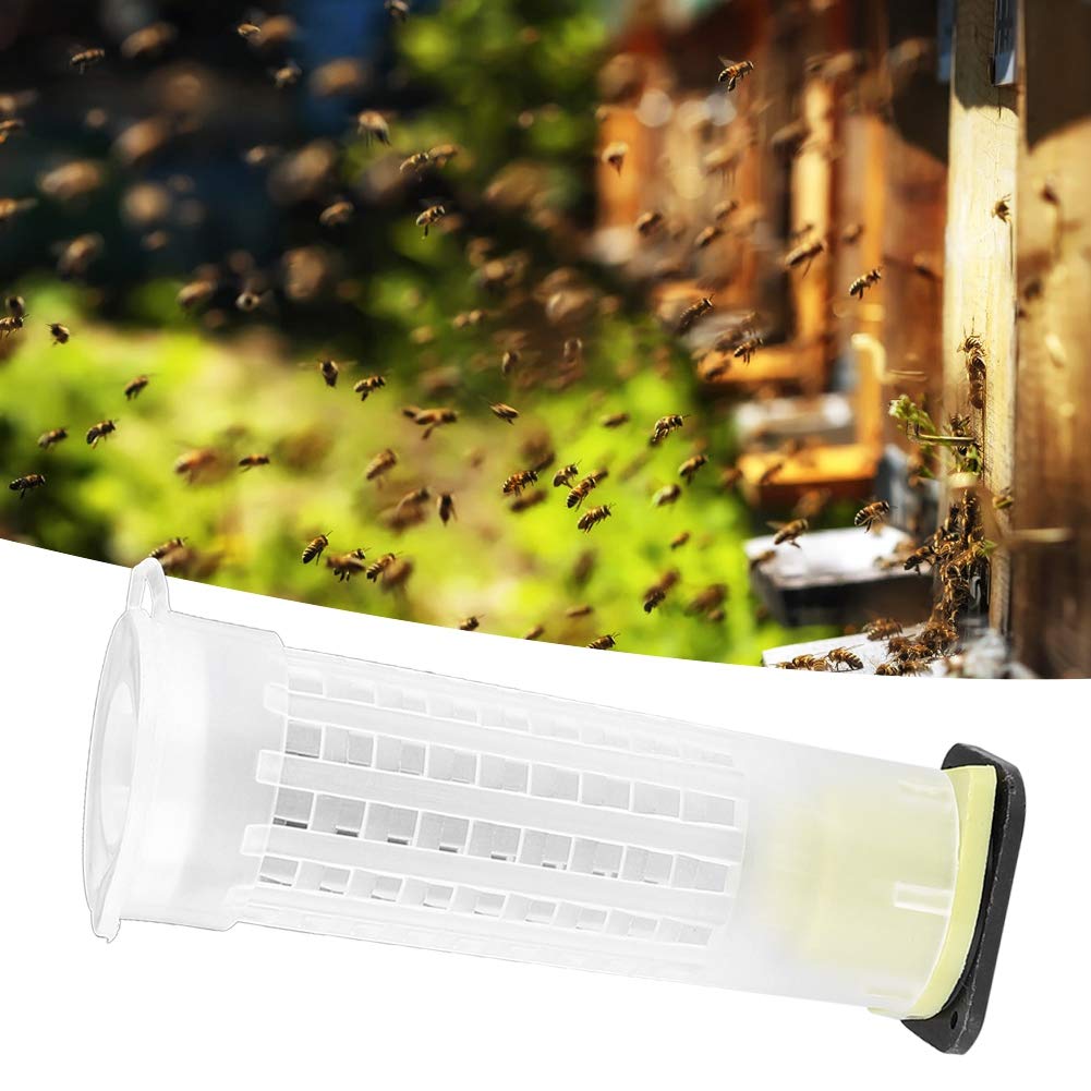 15PCS Plastic Bee Queen Rearing Cages - Tubular Beekeeping Anti-Bite Protector Set - Essential Beekeeper Tools for Hive Management & Queen Introduction
