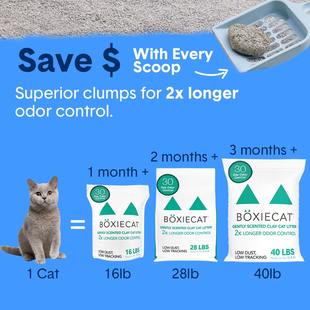 Boxie® Gently Scented 30-Day Odor Control Clumping Clay Cat Litter - 40lb Natural Kitty Litter for Multi-Cat Homes & Large Litter Boxes