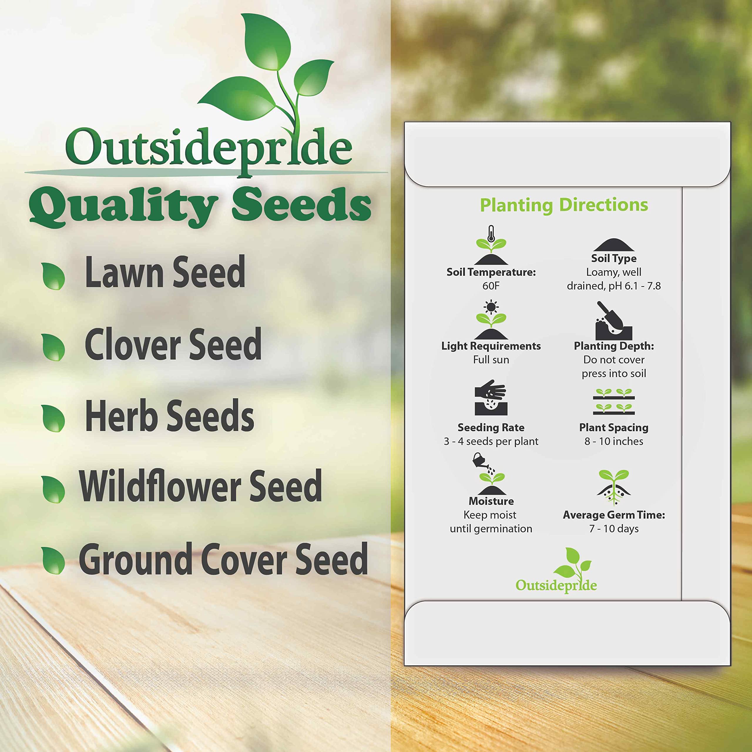 Outsidepride 10,000 Annual Rose Viscaria Flower Seeds for Planting - Beautiful Garden Flowers for Borders, Bouquets & Landscaping