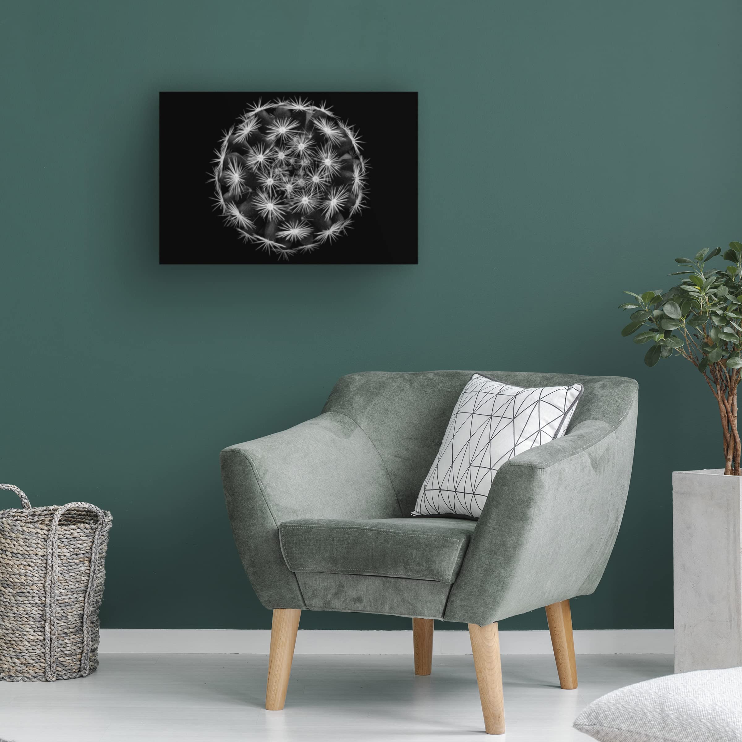 Trademark Fine Art 'Mammillaria' Canvas Wall Art Print by Victor Mozqueda - Beautiful Cactus Painting for Living Room, Bedroom & Office Decor