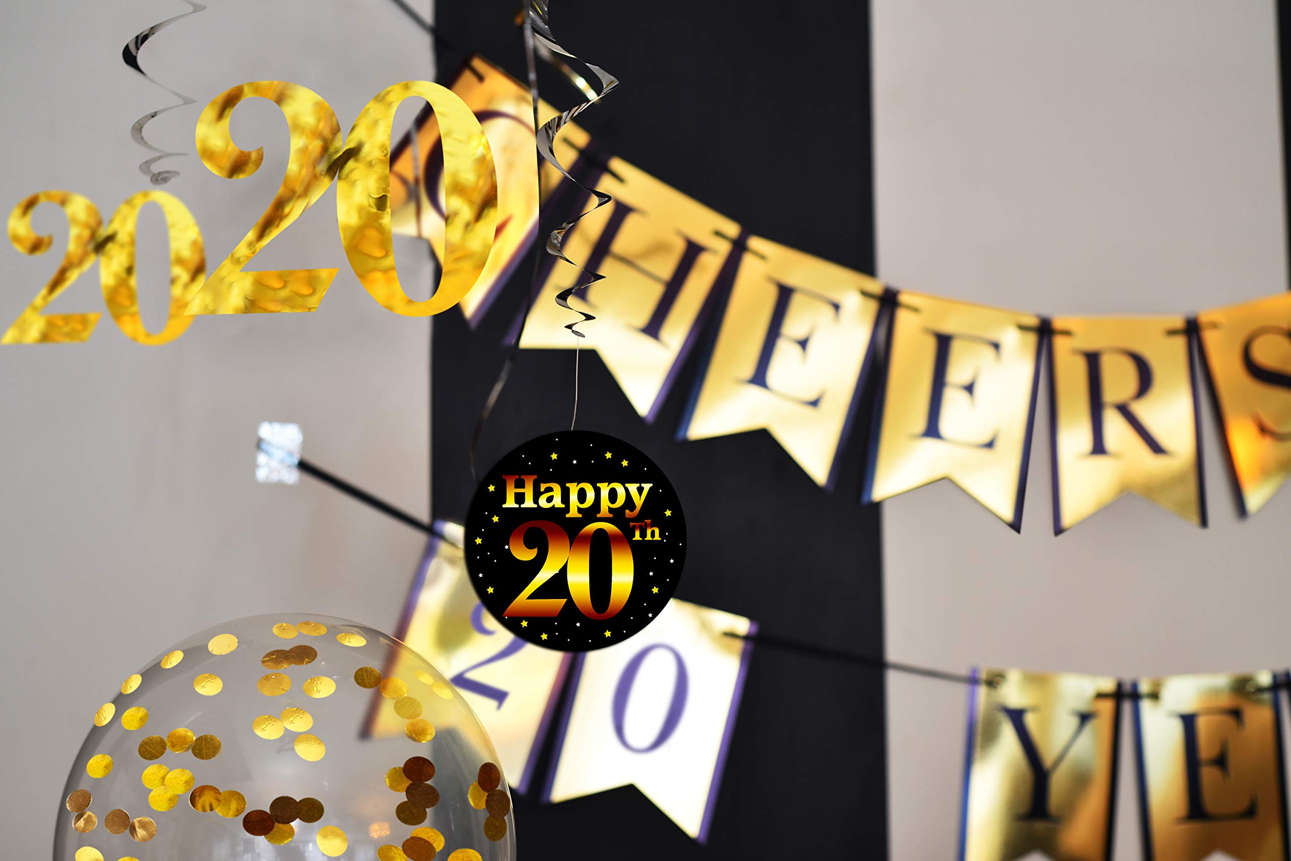 20th Birthday & Anniversary Party Decorations Pack - Cheers to 20 Years Banner, Balloons, Swirls & Confetti Supplies for Milestone Celebrations