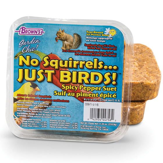 8 Pack Squirrel-Proof Bird Seed Cakes - Premium Wild Bird Food for Outdoor Feeders, Gardens & Backyards