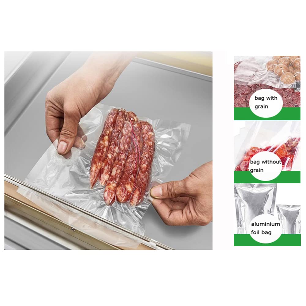TECHTONGDA DZ500 Vacuum Sealer Machine - 20 Inch Stainless Steel Single Chamber Food Packaging System for Fruits, Vegetables, Meat & More | Perfect for Home Kitchen, Meal Prep & Food Storage