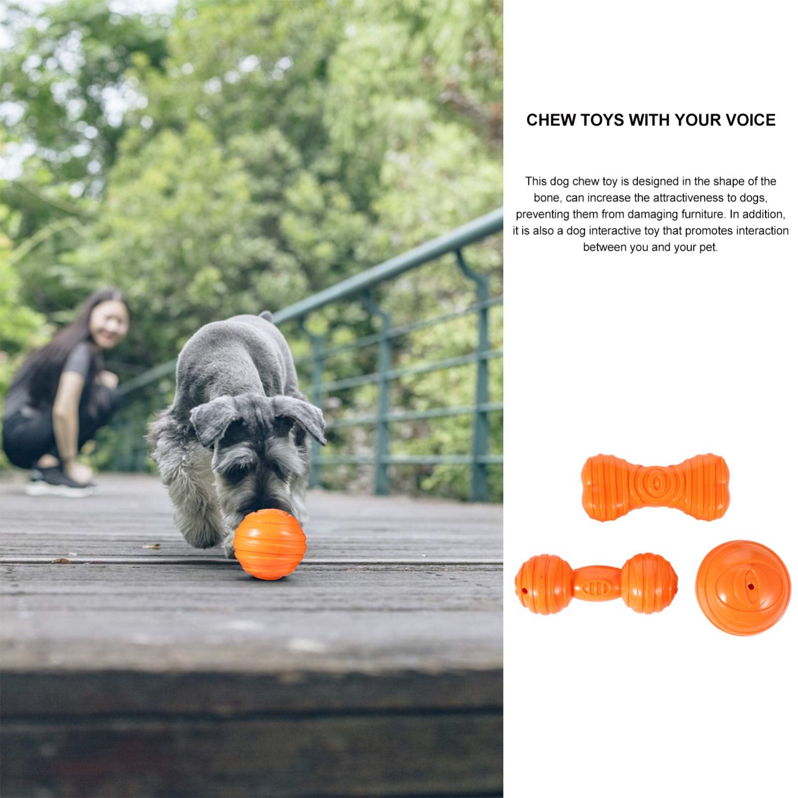 Balacoo 3Pcs Dog Chew Toys - Puppy Teething Bone, Interactive Toothbrush & TPR Sock Toy Set - Durable Pet Supplies for Biting, Training & Dental Care - Perfect for Puppies, Small & Medium Dogs (Great for Indoor Play & Anxiety Relief)