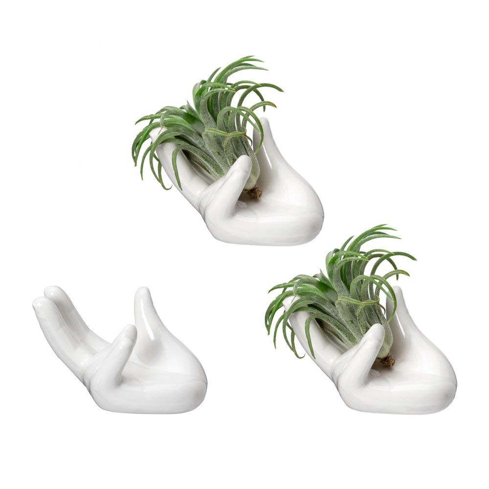3 Pack Small Ceramic Air Plant Pots - Tillandsia Holder & Decorative Planters for Home, Office, or Wedding Decor - Perfect for Tabletop, Shelf, and Wall Display