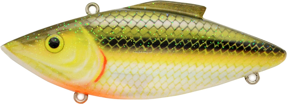 Fathead Minnow