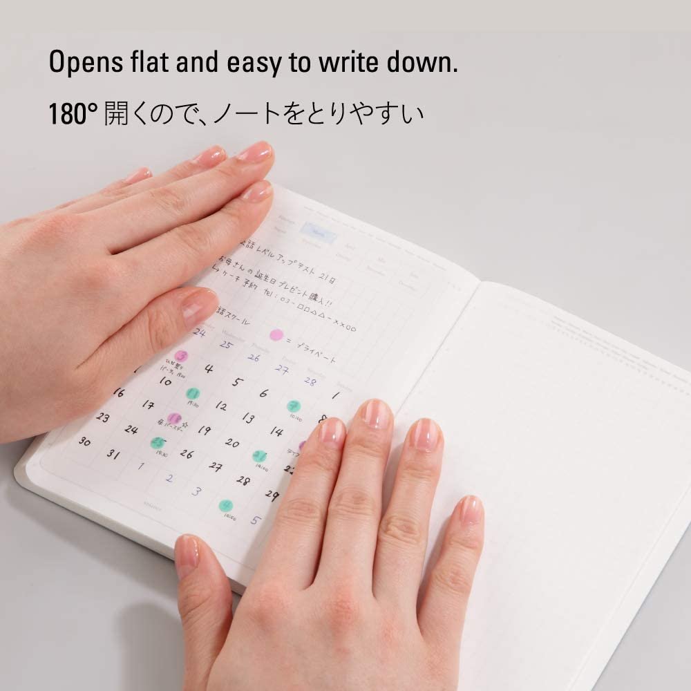Nitto Stalogy B6 Editor's Series 365 Days Notebook - Grid Paper Journal for Daily Planning, Sketching & Note Taking - Perfect for Bullet Journaling, Work Notes & Creative Writing (Black)