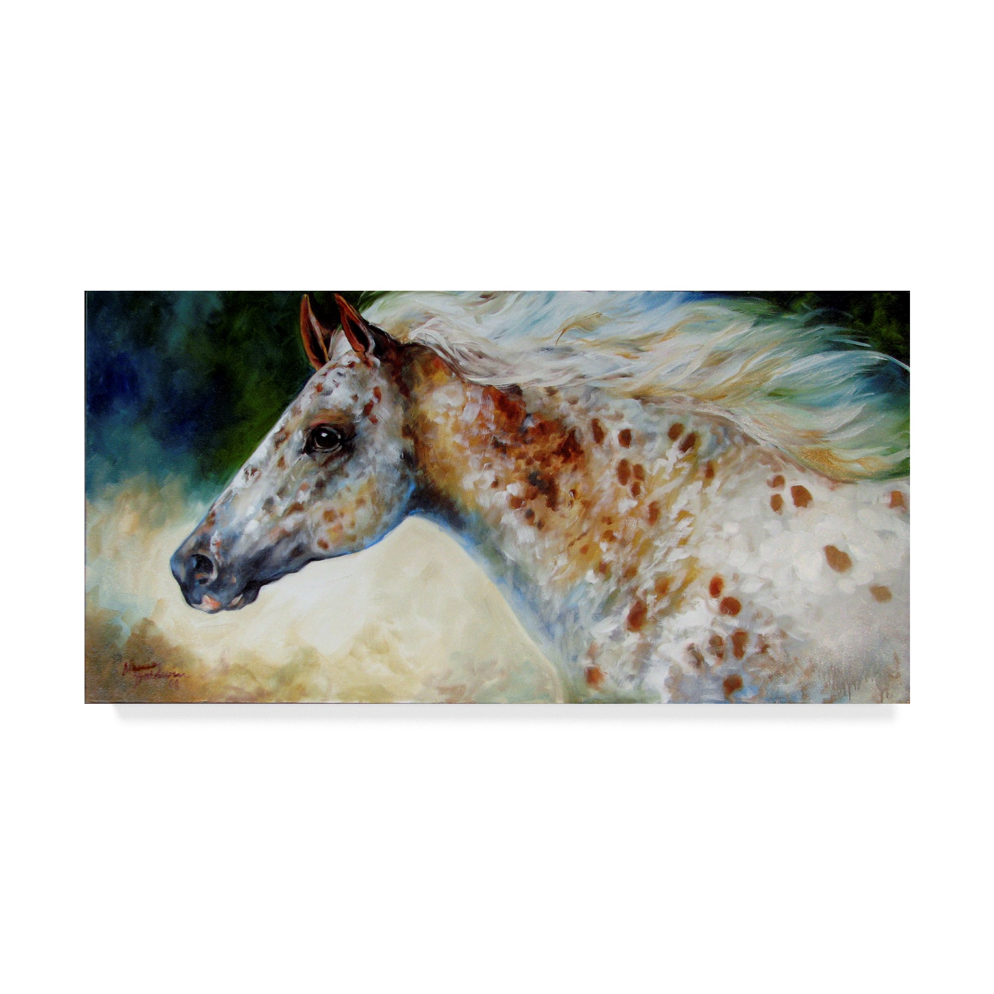 Trademark Fine Art Marcia Baldwin Multicolor Canvas Painting - Perfect for Living Room, Bedroom & Office Wall Decor