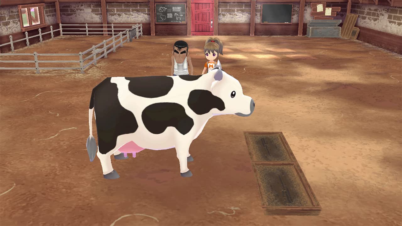 Story of Seasons: A Wonderful Life - Farming Simulation Game for Nintendo Switch - Perfect for Relaxing Gameplay & Family Fun