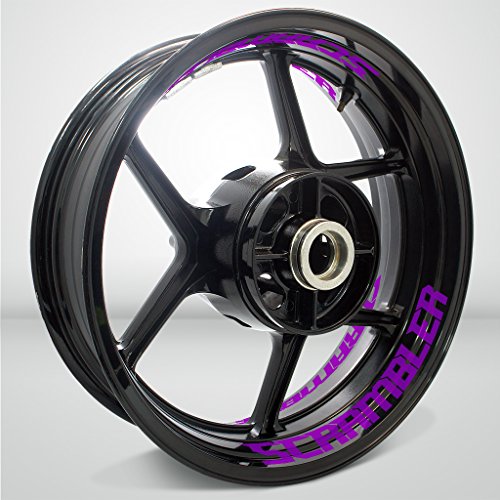 Matte Purple