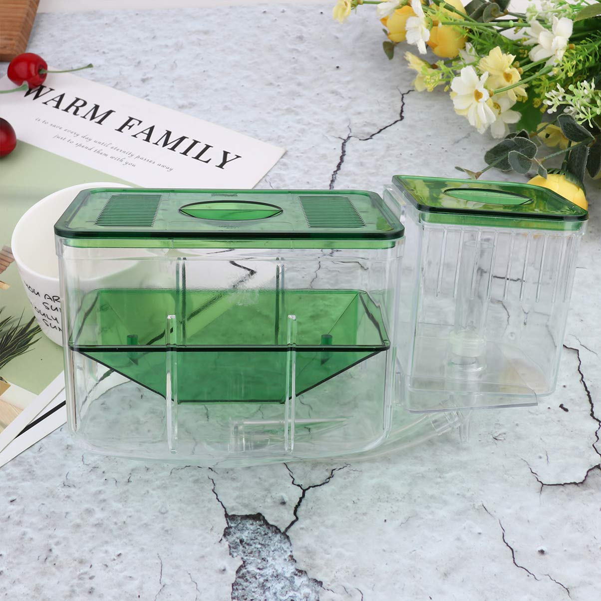 Balacoo 2-Pack Clear Acrylic Aquarium Fry Box - Breeding & Isolation Tank for Baby Fish | Perfect for Fish Tank Breeding, Quarantine & Safe Fry Development