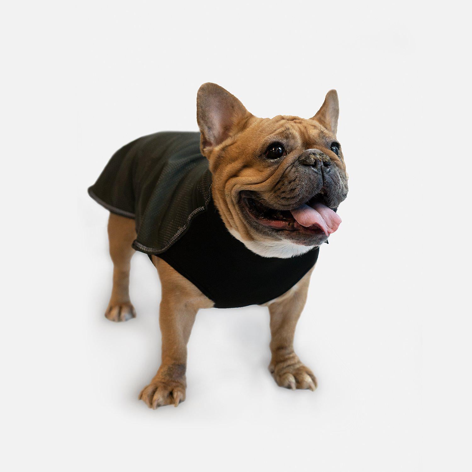 Cognito Reflective Jacket - High Visibility Waterproof Windbreaker for Running, Cycling & Outdoor Safety