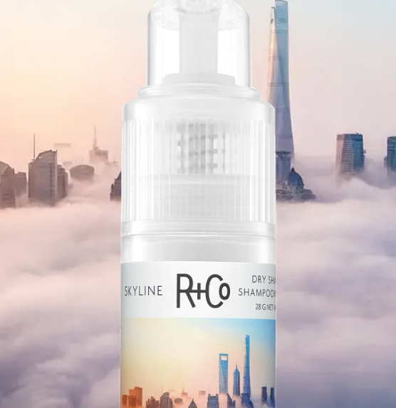 R+Co Skyline Dry Shampoo Powder - Volumizing & Oil Absorbing for All Hair Types | Perfect for Travel, Gym & On-The-Go Refresh