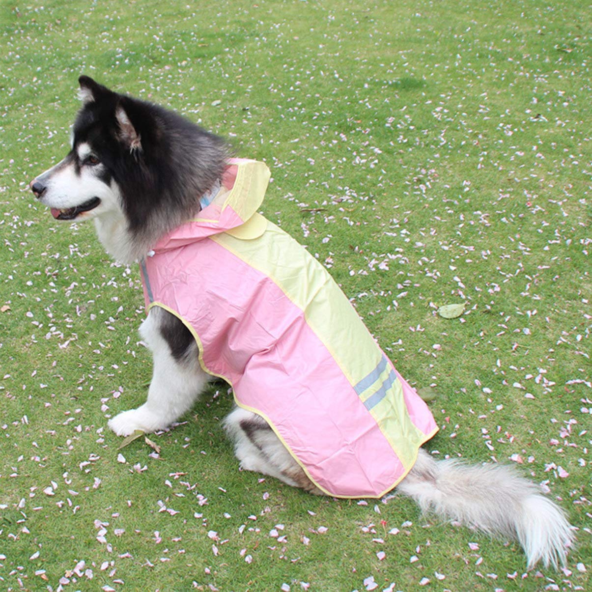 Balacoo Waterproof Dog Raincoat - Reflective Poncho for Greyhounds, Huskies & Puppies | Lightweight Dog Vest for Rainy Day Walks, Outdoor Adventures & Pet Safety