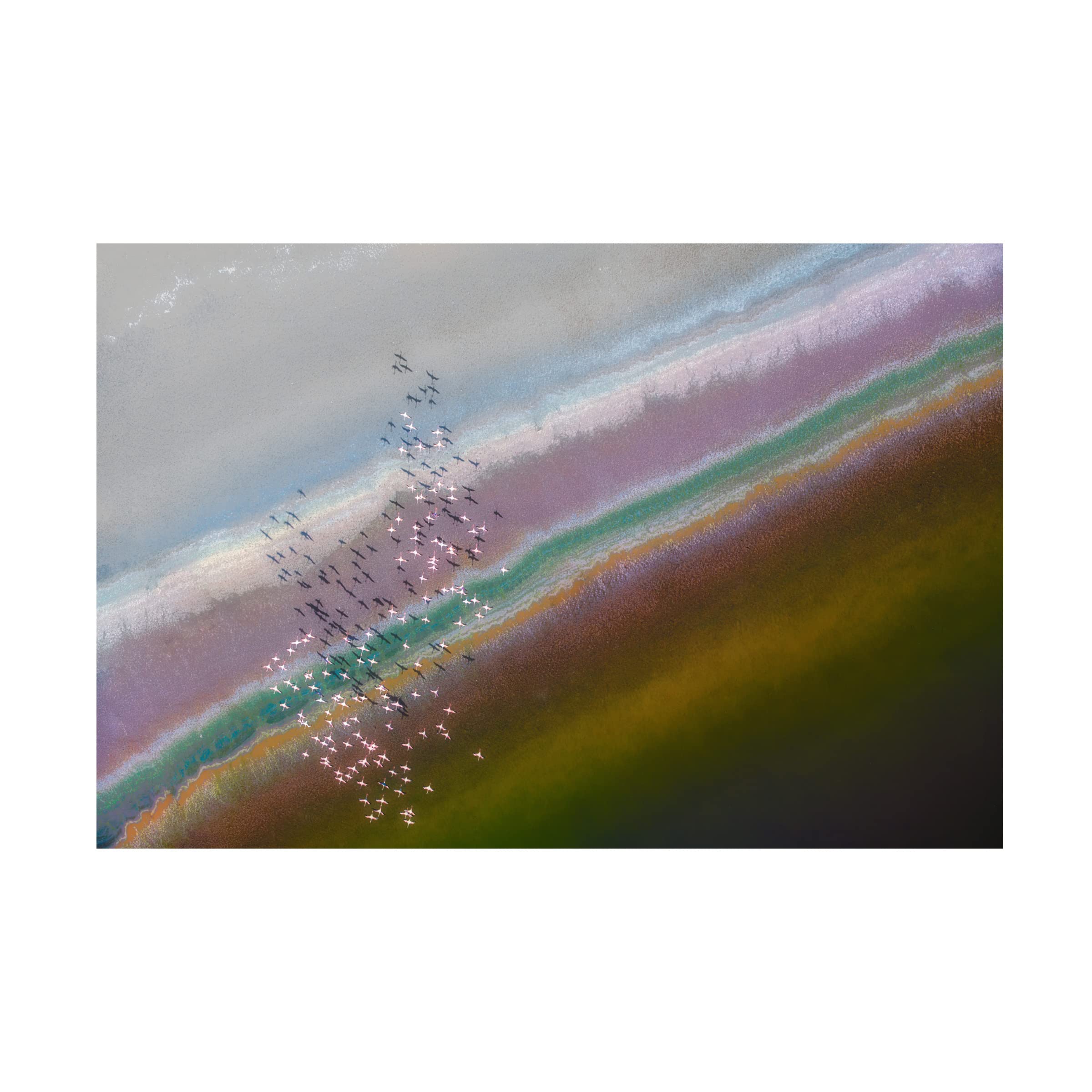 Trademark Fine Art 'Crossing Color Lines' Abstract Canvas Painting by Leah Xu - Modern Wall Art for Living Room, Bedroom & Office Decor