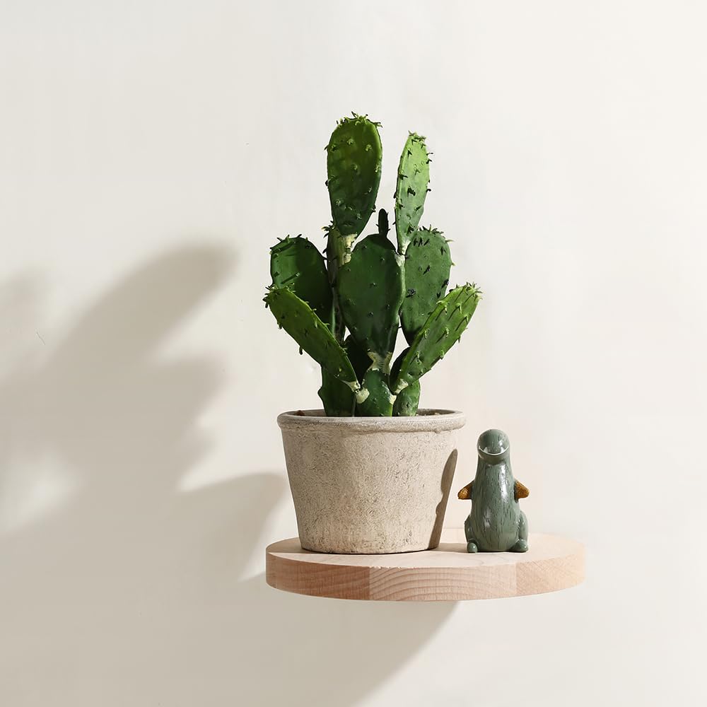 Small Natural Wooden Floating Shelves - 2 Pack 8 Inch Round Corner Wall Mounted Display Ledge for Action Figures & Home Decor - Perfect for Bedroom, Living Room, and Office Organization